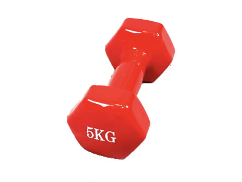 Vinyl Dipped Dumbbell 5kg